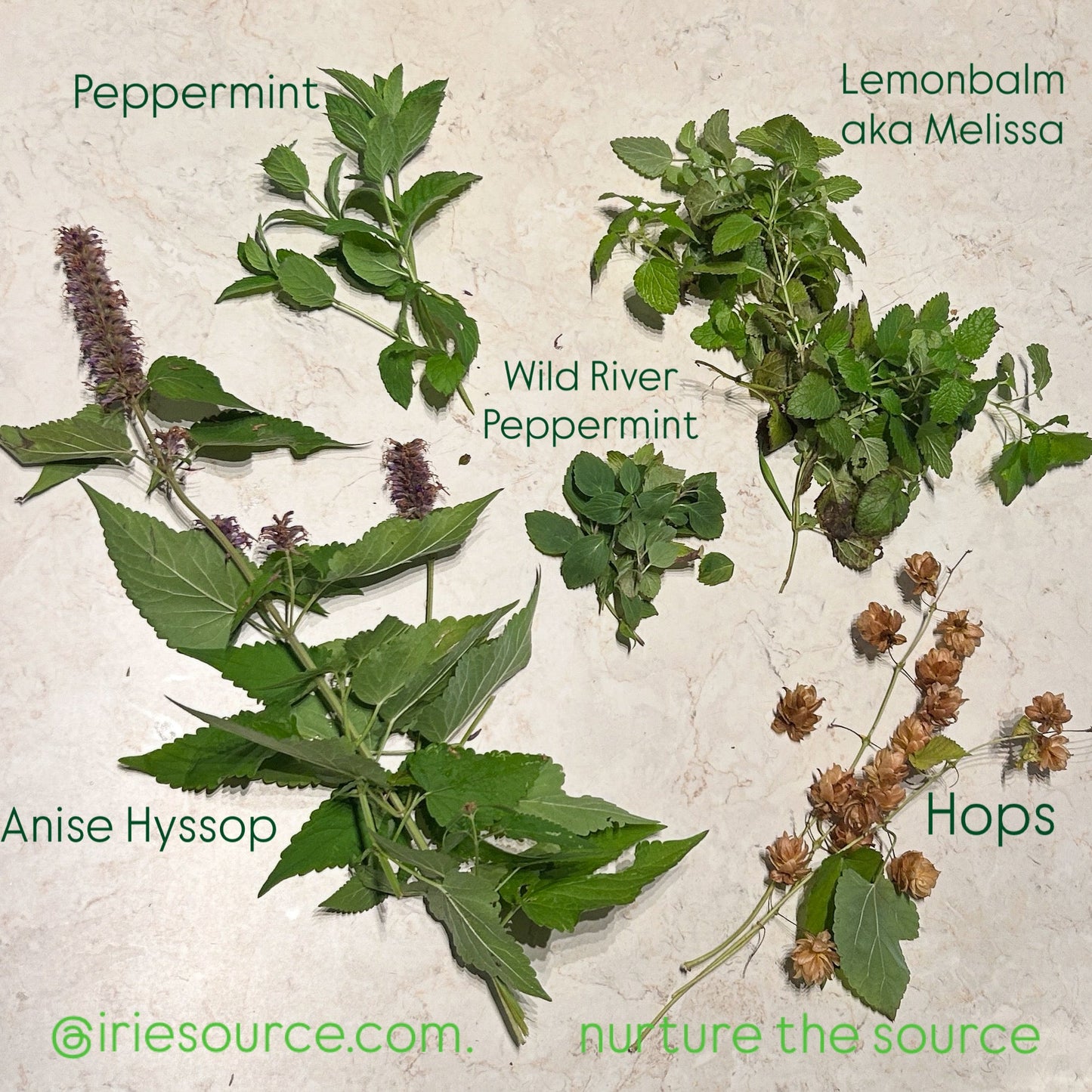 Tea of the Moment with honey : add on