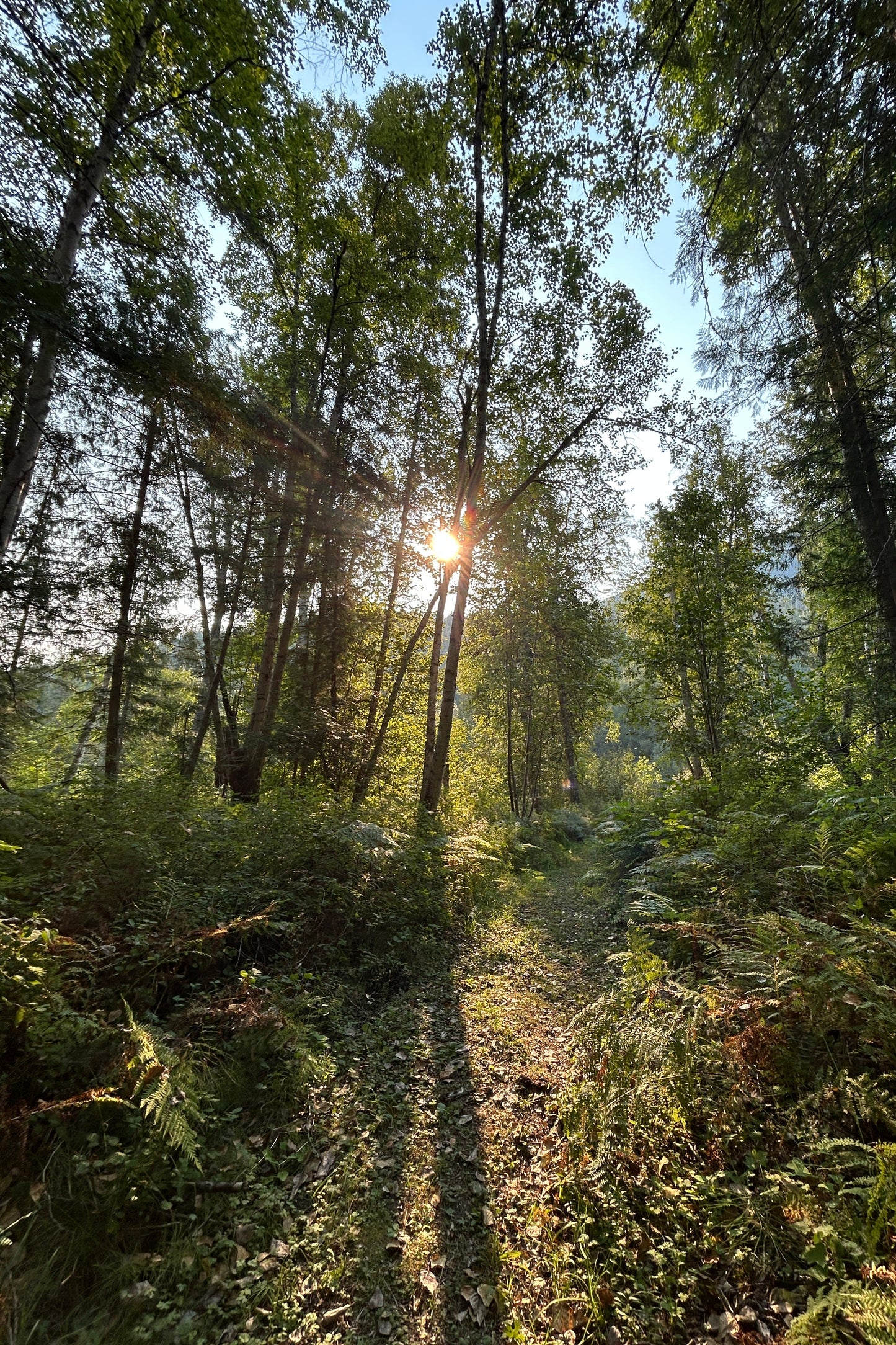 IrieVisualize™ : Custom Guided Meditation Within