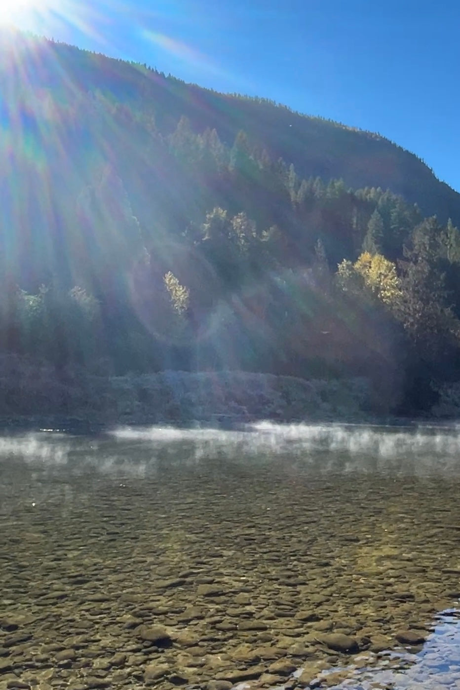 Forest Bathing: feel the pulse of earth + flow of water