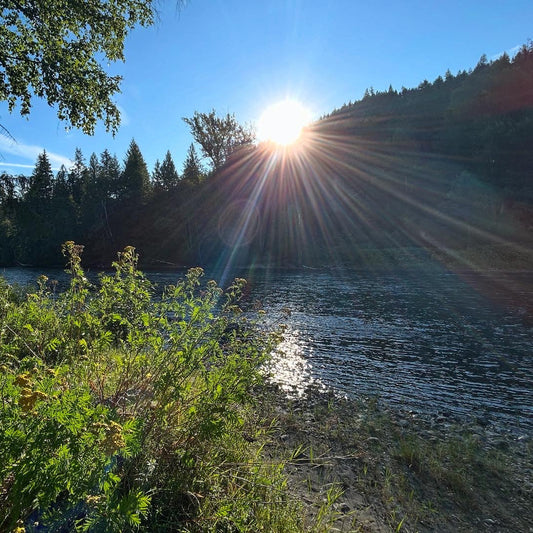 Forest Bathing add on : feel the pulse of earth + flow of water