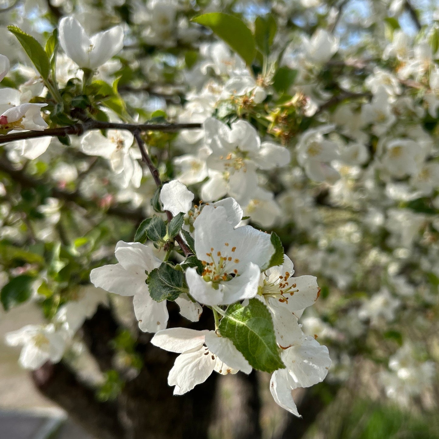 Mini Retreat: Recalibrate for Peace + Plenty