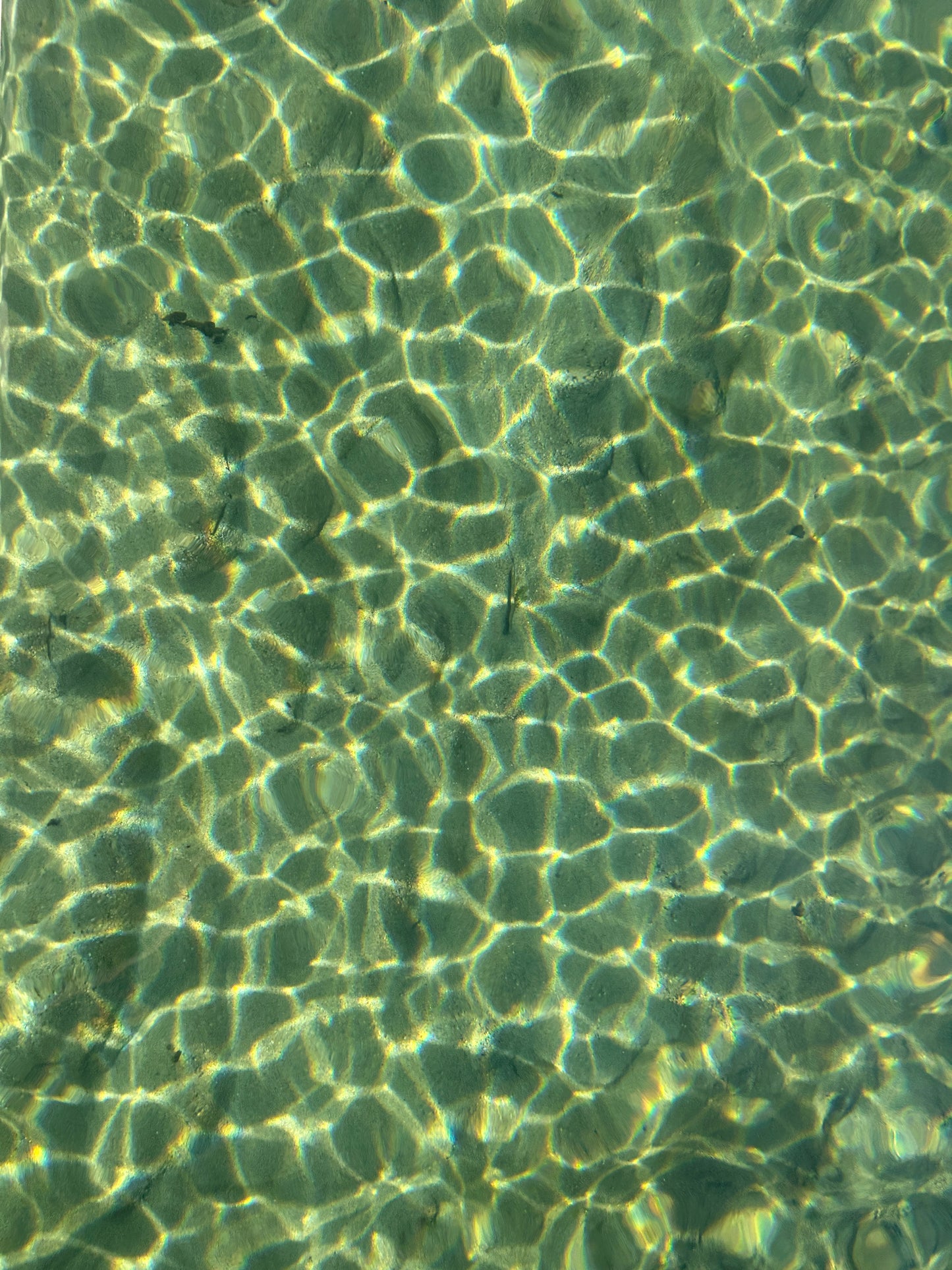 CranioSacral Therapy 90 minutes