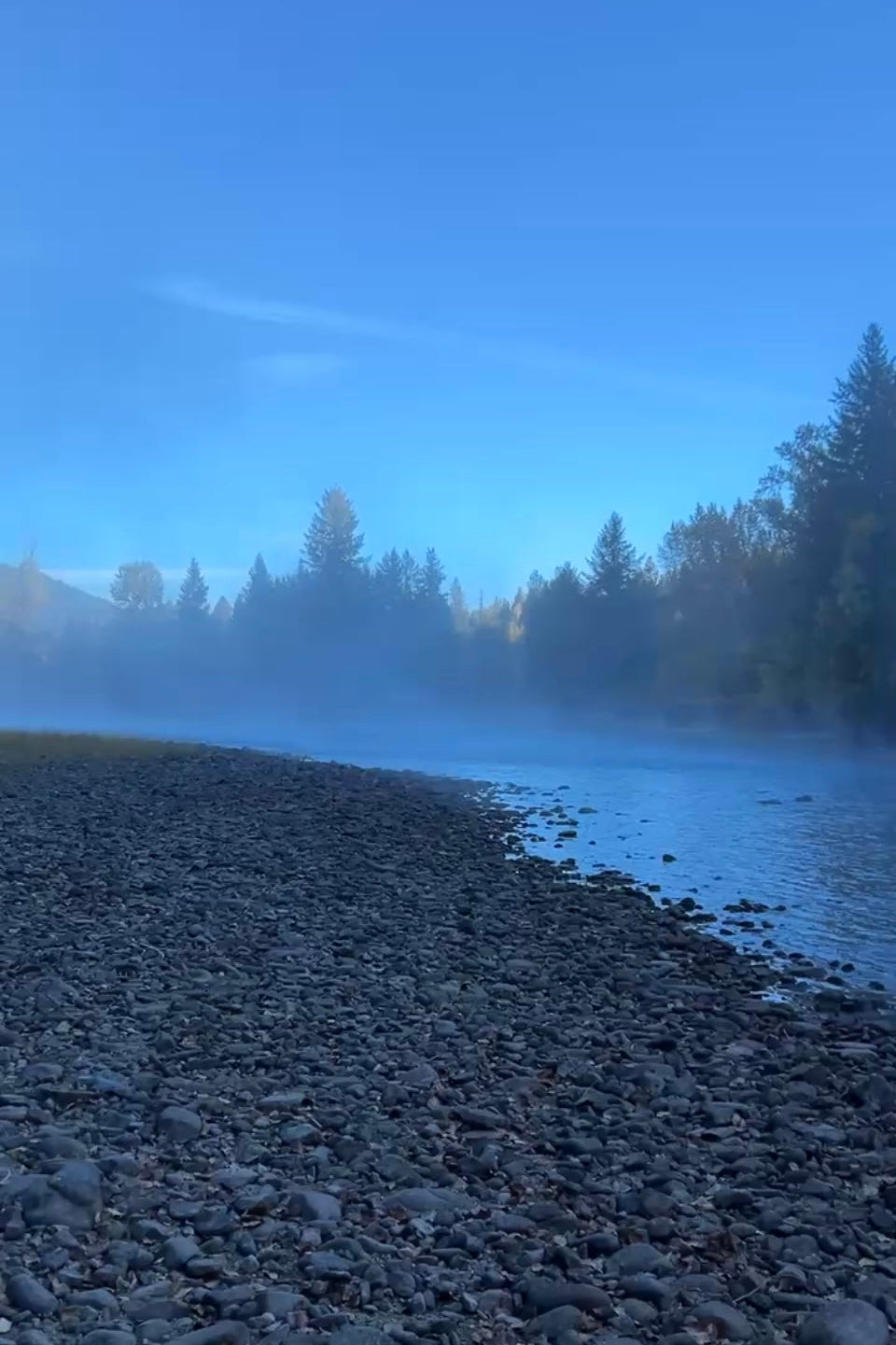 Forest Bathing: feel the pulse of earth + flow of water
